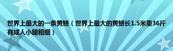 世界上最大的一条黄鳝（世界上最大的黄鳝长1.5米重36斤有成人小腿粗细）