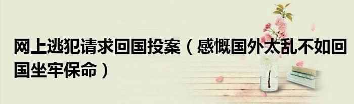 网上逃犯请求回国投案（感慨国外太乱不如回国坐牢保命）