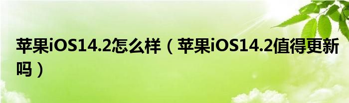苹果iOS14.2怎么样（苹果iOS14.2值得更新吗）