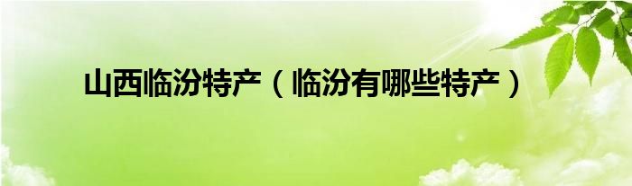 山西临汾特产（临汾有哪些特产）
