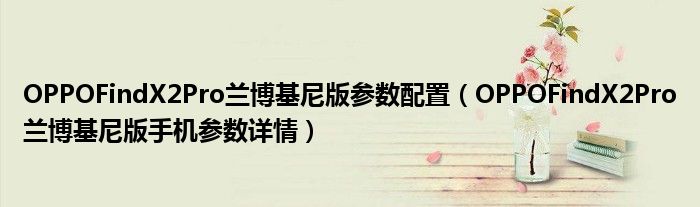 OPPOFindX2Pro兰博基尼版参数配置（OPPOFindX2Pro兰博基尼版手机参数详情）