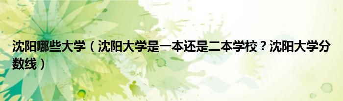 沈阳哪些大学（沈阳大学是一本还是二本学校？沈阳大学分数线）