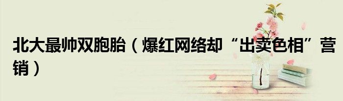 北大最帅双胞胎（爆红网络却“出卖色相”营销）