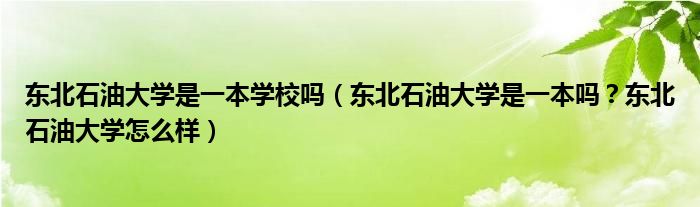 东北石油大学是一本学校吗（东北石油大学是一本吗？东北石油大学怎么样）