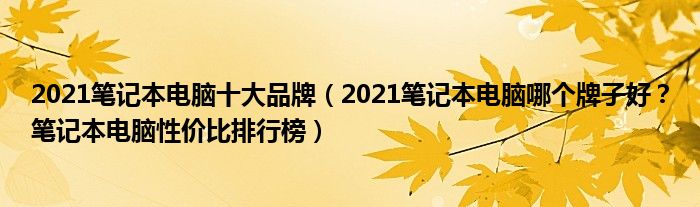 2021笔记本电脑十大品牌（2021笔记本电脑哪个牌子好？笔记本电脑性价比排行榜）