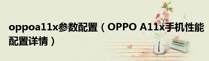 oppoa11x参数配置（OPPO A11x手机性能配置详情）