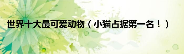 世界十大最可爱动物（小猫占据第一名！）