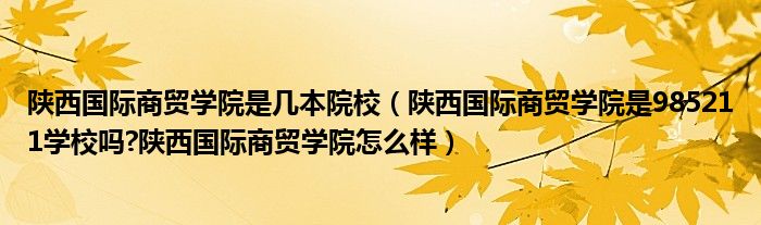 陕西国际商贸学院是几本院校（陕西国际商贸学院是985211学校吗?陕西国际商贸学院怎么样）