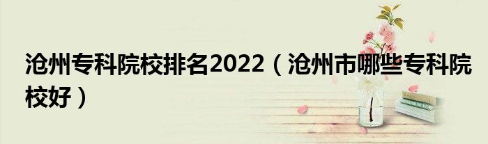 沧州专科院校排名2022（沧州市哪些专科院校好）