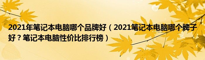 2021年笔记本电脑哪个品牌好（2021笔记本电脑哪个牌子好？笔记本电脑性价比排行榜）