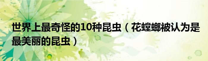 世界上最奇怪的10种昆虫（花螳螂被认为是最美丽的昆虫）