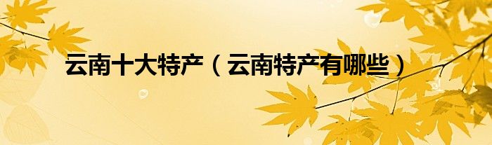 云南十大特产（云南特产有哪些）