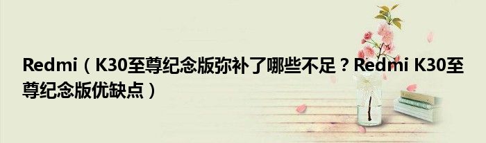 Redmi（K30至尊纪念版弥补了哪些不足？Redmi K30至尊纪念版优缺点）