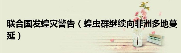 联合国发蝗灾警告（蝗虫群继续向非洲多地蔓延）