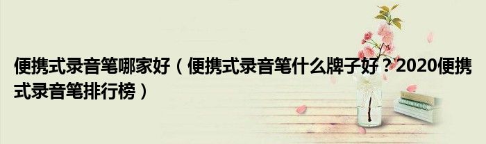 便携式录音笔哪家好（便携式录音笔什么牌子好？2020便携式录音笔排行榜）