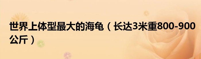 世界上体型最大的海龟（长达3米重800-900公斤）