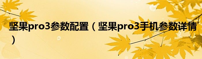 坚果pro3参数配置（坚果pro3手机参数详情）