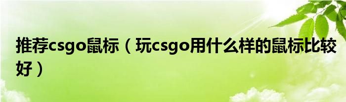 推荐csgo鼠标（玩csgo用什么样的鼠标比较好）