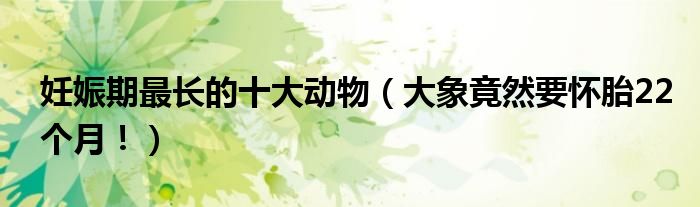 妊娠期最长的十大动物（大象竟然要怀胎22个月！）