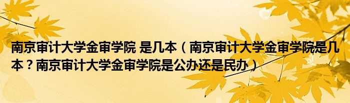 南京审计大学金审学院 是几本（南京审计大学金审学院是几本？南京审计大学金审学院是公办还是民办）