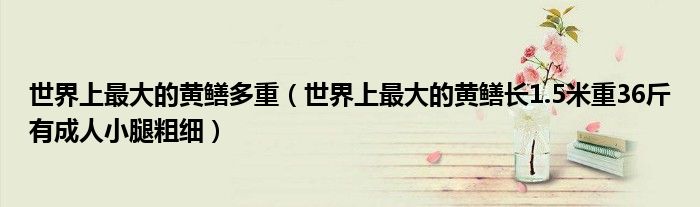 世界上最大的黄鳝多重（世界上最大的黄鳝长1.5米重36斤有成人小腿粗细）