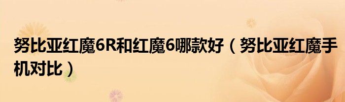 努比亚红魔6R和红魔6哪款好（努比亚红魔手机对比）