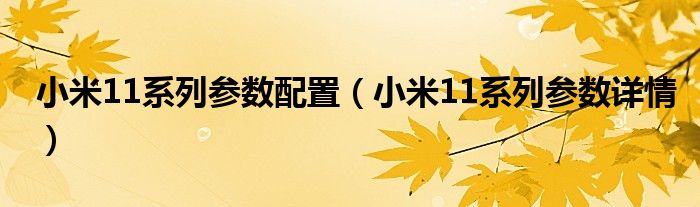 小米11系列参数配置（小米11系列参数详情）