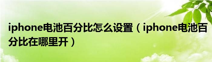 iphone电池百分比怎么设置（iphone电池百分比在哪里开）