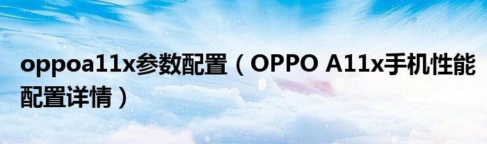 oppoa11x参数配置（OPPO A11x手机性能配置详情）