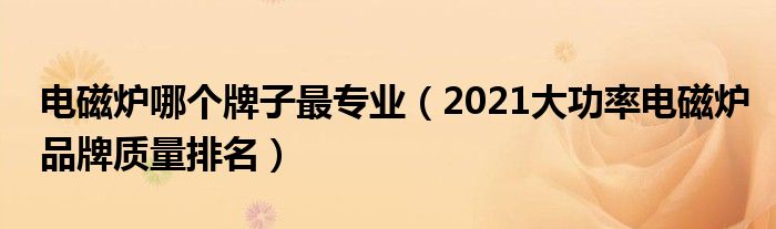 电磁炉哪个牌子最专业（2021大功率电磁炉品牌质量排名）
