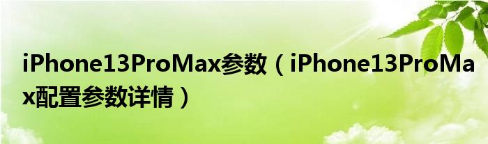iPhone13ProMax参数（iPhone13ProMax配置参数详情）