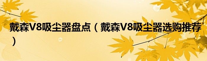 戴森V8吸尘器盘点（戴森V8吸尘器选购推荐）