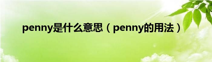 penny是什么意思（penny的用法）