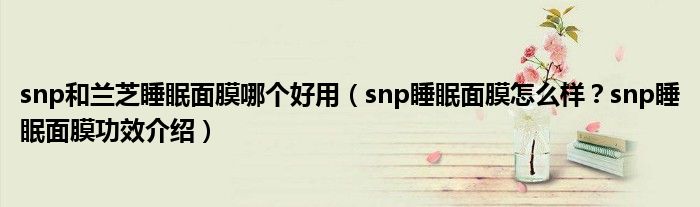 snp和兰芝睡眠面膜哪个好用（snp睡眠面膜怎么样？snp睡眠面膜功效介绍）