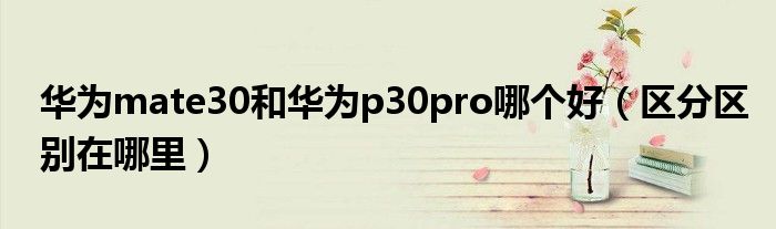 华为mate30和华为p30pro哪个好（区分区别在哪里）
