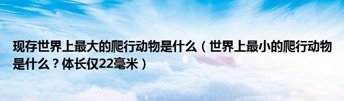 现存世界上最大的爬行动物是什么（世界上最小的爬行动物是什么？体长仅22毫米）