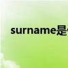 surname是什么意思（surname的用法）