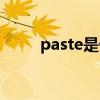 paste是什么意思（paste的用法）