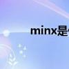 minx是什么意思（minx的用法）