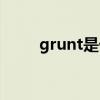 grunt是什么意思（grunt的用法）