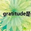 gratitude是什么意思（gratitude的用法）