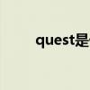 quest是什么意思（quest的用法）