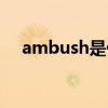 ambush是什么意思（ambush的用法）