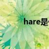 hare是什么意思（hare的用法）