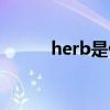 herb是什么意思（herb的用法）