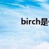 birch是什么意思（birch的用法）
