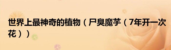 世界上最神奇的植物（尸臭魔芋（7年开一次花））