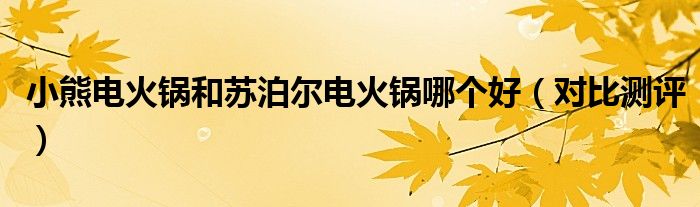 小熊电火锅和苏泊尔电火锅哪个好（对比测评）