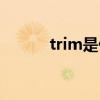 trim是什么意思（trim的用法）