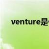 venture是什么意思（venture的用法）